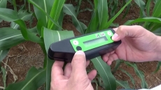 ����������� ���������� ������ ���������� (N-������) atLEAF CHL STD (���)